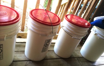 Beer Buckets - Set Out to Soak in Sanitizer